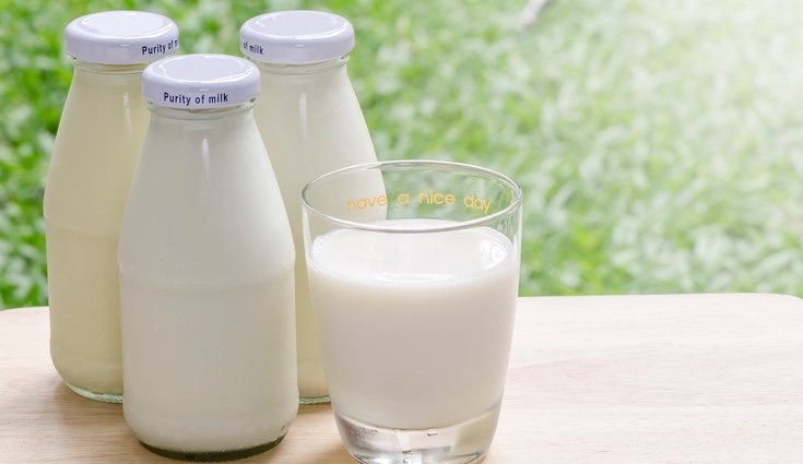 Calorías De La Leche De Vaca Diferencia Entre Entera Semidesnatada Y Desnatada Bekia Fit 2772