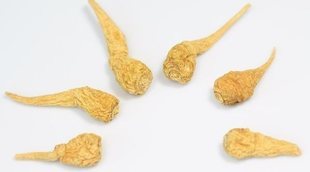 Beneficios sexuales de la maca