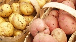 ¿Qué engorda más, la patata o la batata?