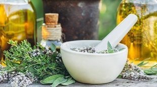 5 plantas medicinales para combatir la fatiga