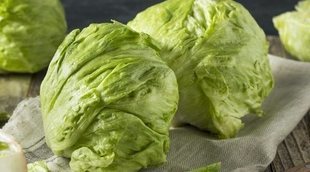 Propiedades y beneficios de la lechuga para tu organismo